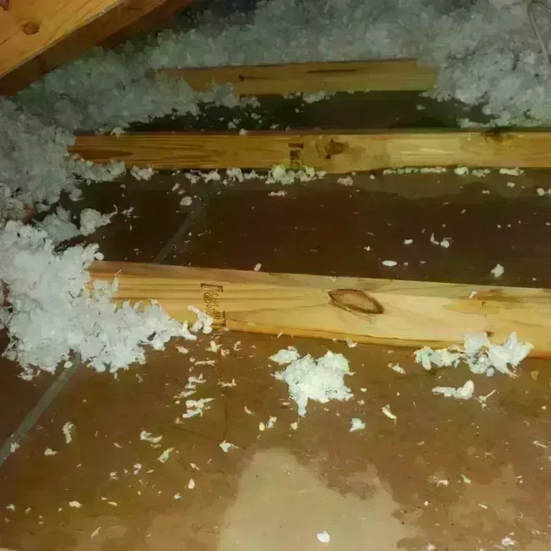 Attic Water Damage in Brentwood, TN